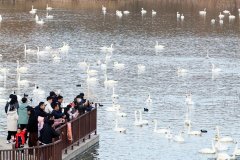 （记者黄治/摄）从处所调查时初次提出新质生